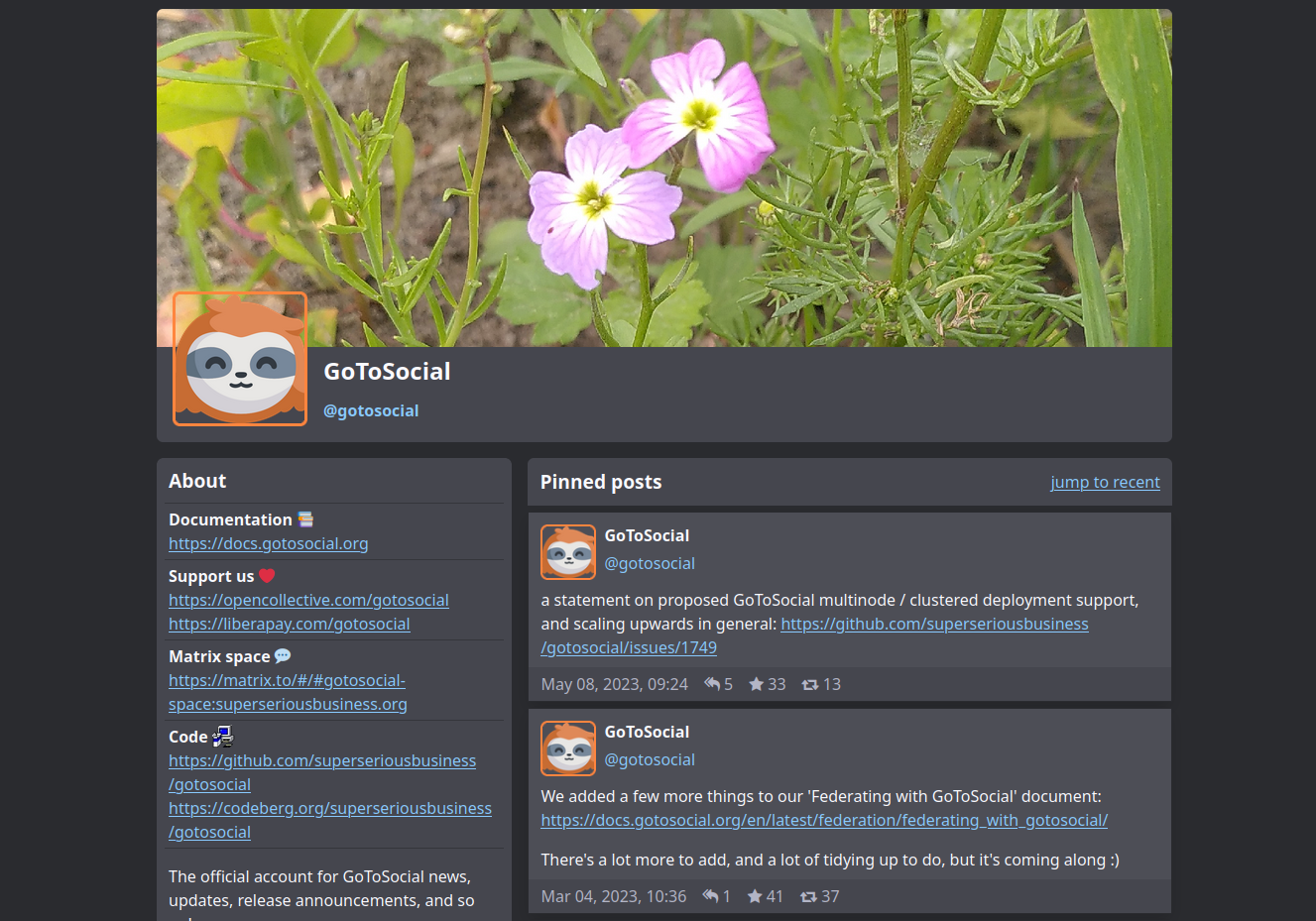 GoToSocial Screenshot